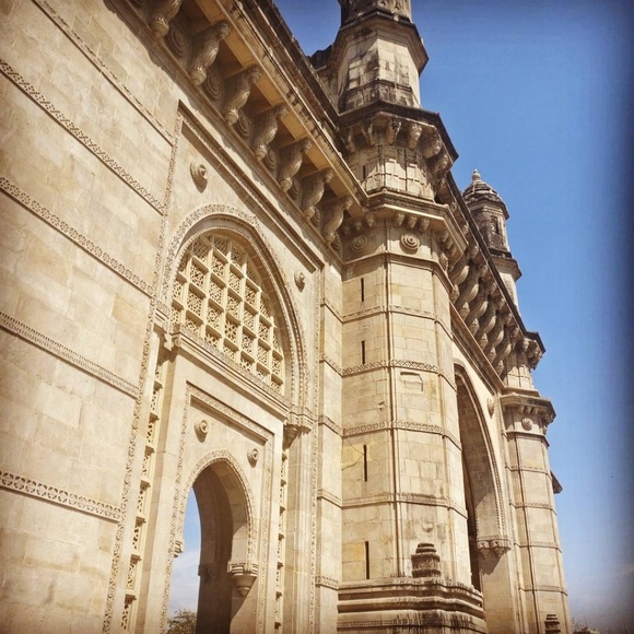 Greyee - Picture 5 of 6